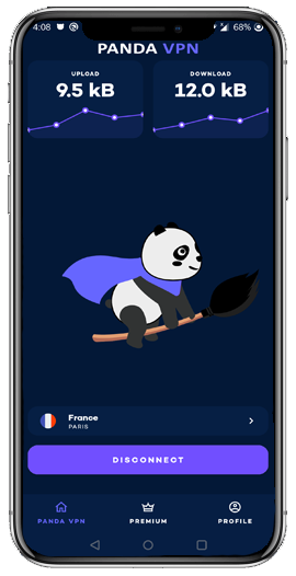 Giant Panda VPN